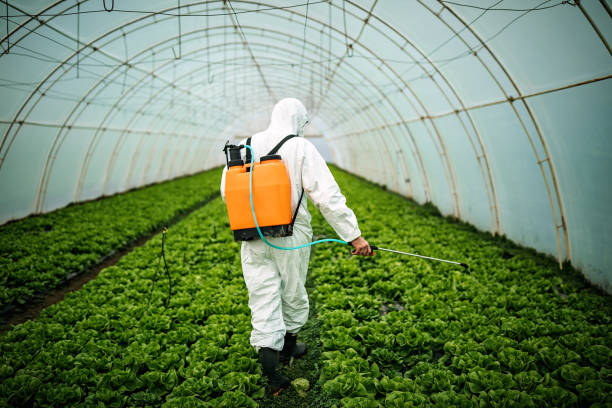 Best Residential Pest Control  in Franklin Park, NJ