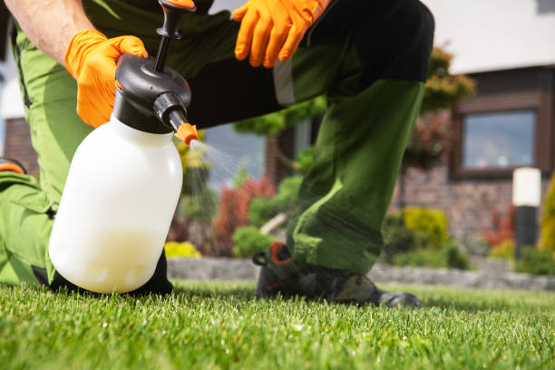 Reliable Franklin Park, NJ Pest Control Solutions