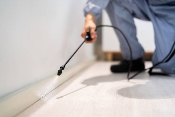Best Pest Removal Services  in Franklin Park, NJ