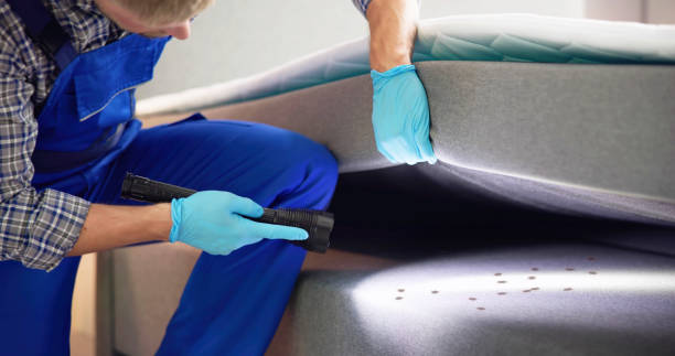 Best Flea Control Services  in Franklin Park, NJ